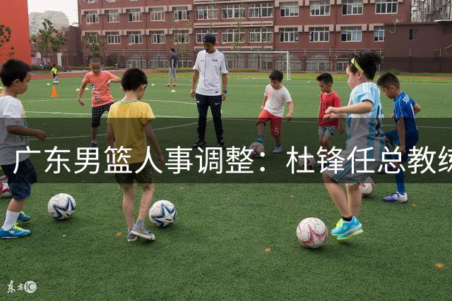广东男篮人事调整：杜锋任总教练 朱芳雨获荣誉顾问