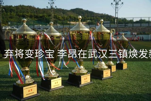 弃将变珍宝 李昂在武汉三镇焕发新生